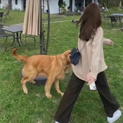 当爱情到来